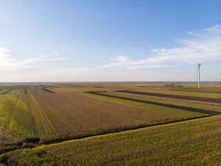 Arable land and road. Aerial photography. 