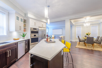 Modern, bright, clean, kitchen interior with stainless steel appliances in a luxury house