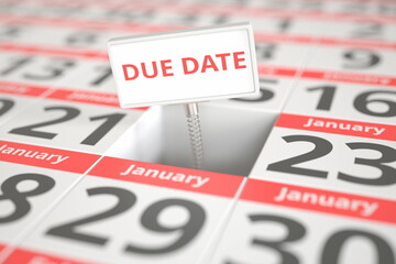 DUE DATE sign on January 22 in a calendar, 3d rendering