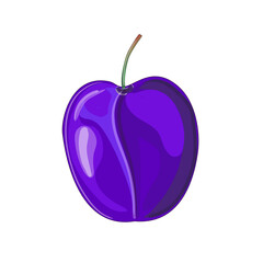 The plum is purple. Fruit in cartoon style. Stock vector illustration isolated on white background.