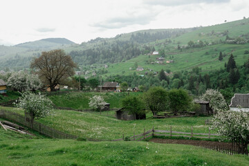Fototapeta na wymiar mountain landscape of the Ukrainian Carpathians