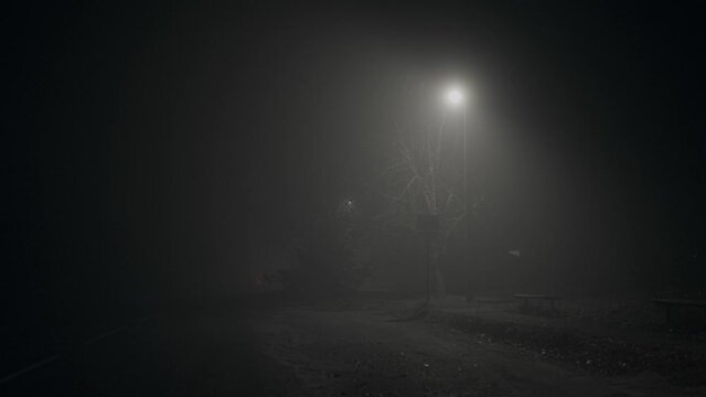 Fog at night with lamp posts