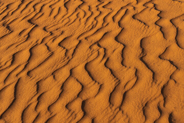 Ripples formed by the wind in the sand dunes of the desert in Saudi Arabia  