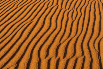 Ripples formed by the wind in the sand dunes of the desert in Saudi Arabia  