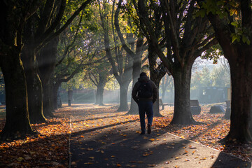 Fototapeta premium walking in the park