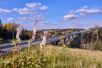 Highway bridge overpass on expressway through Russian forest.