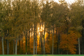 Autumn in the forest, Slangenburg, Doetinchem, Netherlands