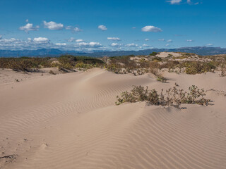 Golden sand dunes by the sea in the Ebro natural park, Spain.