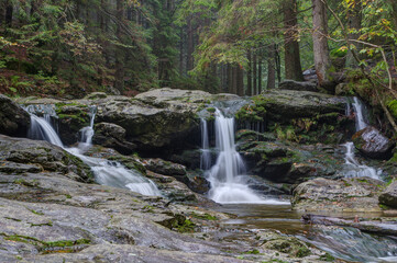 Fototapeta na wymiar In the Rißlochschlucht the Rißbach creek falls over cascades into the wild gorge.