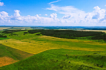 freedom ukrainian landscape