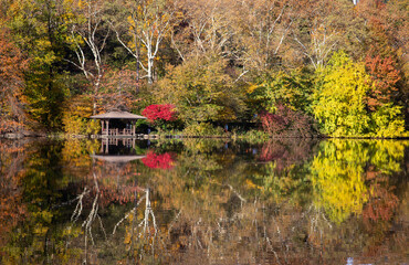 Central park reflection at fall season 