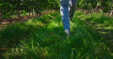 Closeup gardener foots plantation going to farmland on green fresh grass concept