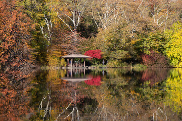 Central Park in fall colors autumn season in new york city 