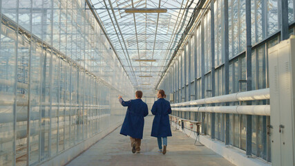 Farm specialists discuss agronomy business in modern greenhouse lab technology.