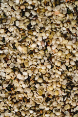 hemp seeds