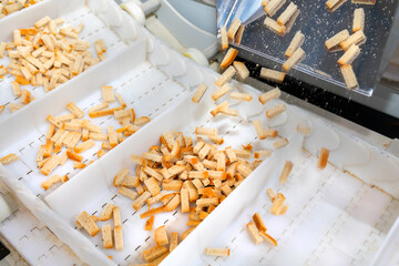 Croutons on the conveyor. Automated line for the production of rusks from bread. Conveyor line machine. Preparation of Russian national snack.