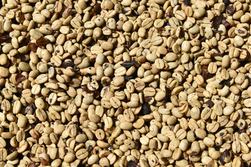 Green coffee beans, before roasting, close-up of natural background