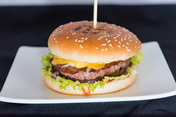 Burger on a black background.