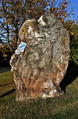 Prähistorischer Menhir im Herbst in Trais / Wetterau