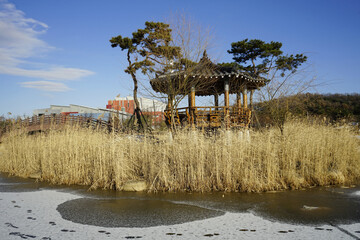 김포호수공원에는 겨울 빙판길로 많은 사람들이 놀이공간으로 휴식을 합니다.