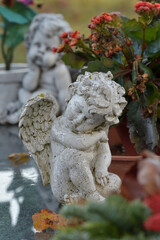 Obraz premium grabengel