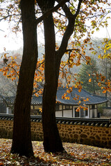 가을풍경과 공원에는 전통 문화재 한옥이 아름답습니다.