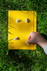 Flat lay with a yellow book for copy space and with hand placing single daisy flowers on top.