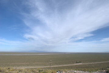 Fototapeta na wymiar pampas amarillas at high plains of argentina