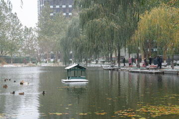 boats on the lake
