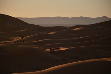 sunset in the desert