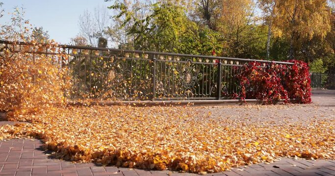 Gardeners remove fallen leaves for composting in the park.