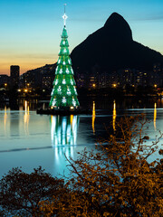 Beautiful Christmas tree. Christmas tree in the big city.