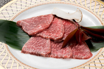 美味しい日本の焼肉店の和牛の焼肉料理