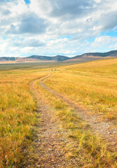 Field road in the steppes of Khakassia