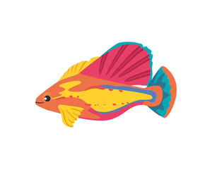 colored fish design