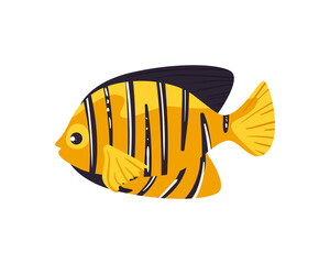 goldy fish design