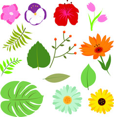 set of flowers and leaves as background wallpaper
