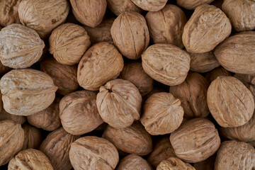 A bunch of fresh, delicious unshelled California walnuts