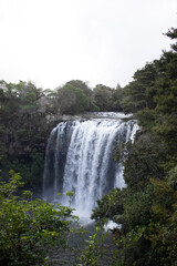 waterfall in the forest