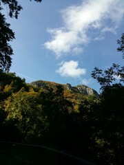 Obraz premium Nuvole sul bosco in montagna 