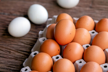 Eggs are freshly placed in a panel