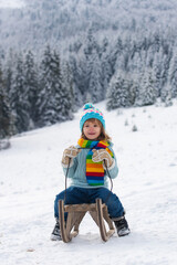 Fototapeta na wymiar Portrait of happy little kid wearing knitted hat, scarf and sweater. Kid boy enjoying a sleigh ride. Child sledding riding a sleigh outdoors in snow. Winter Christmas landscape with snow.