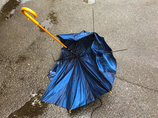 A black broken cane umbrella lies on the a pavement in a puddle. An umbrella with broken spokes and wooden handle. Bad weather, hurricane, storm, wind, rain. Accessory for a spring or fall rainy day. 