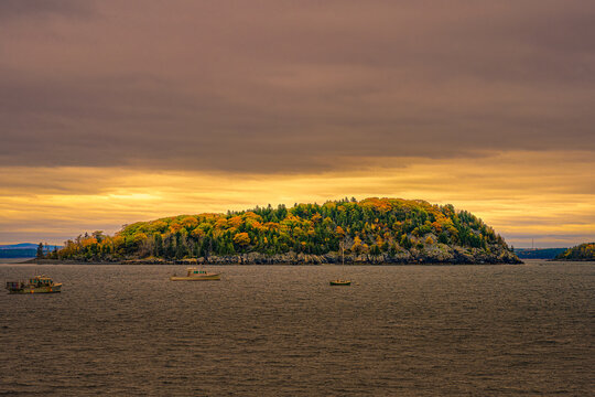 2021-11-16 FALL LEAVES ON A SMALL ISLAND IN BAR HARBOR MAINE WITH SURREAL CLOUDS AND BOATS IN THE BARBOR