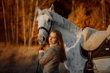 Beautiful young woman in English hunter wear style with Knabstrupper horse and Irish setter at autumn park - 469624417
