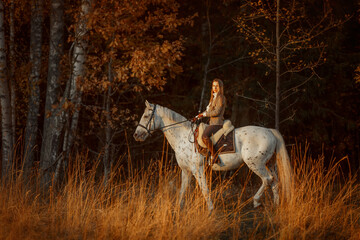 Beautiful young woman in English hunter wear style with Knabstrupper horse and Irish setter at autumn park - 469624425