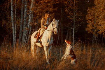 Beautiful young woman in English hunter wear style with Knabstrupper horse and Irish setter at autumn park - 469624426