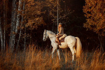 Beautiful young woman in English hunter wear style with Knabstrupper horse and Irish setter at autumn park - 469624428