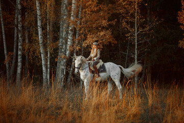 Beautiful young woman in English hunter wear style with Knabstrupper horse and Irish setter at autumn park - 469624429