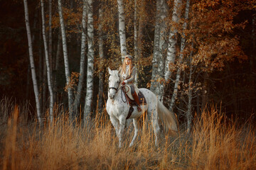 Beautiful young woman in English hunter wear style with Knabstrupper horse and Irish setter at autumn park - 469624430